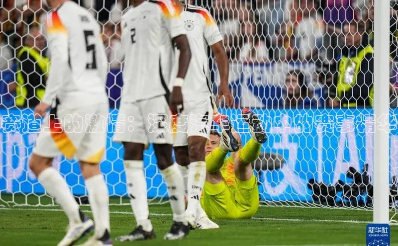 人生搏中国官网入口