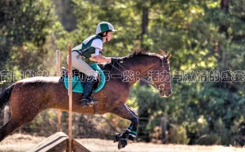 人生就是博官网bjl8