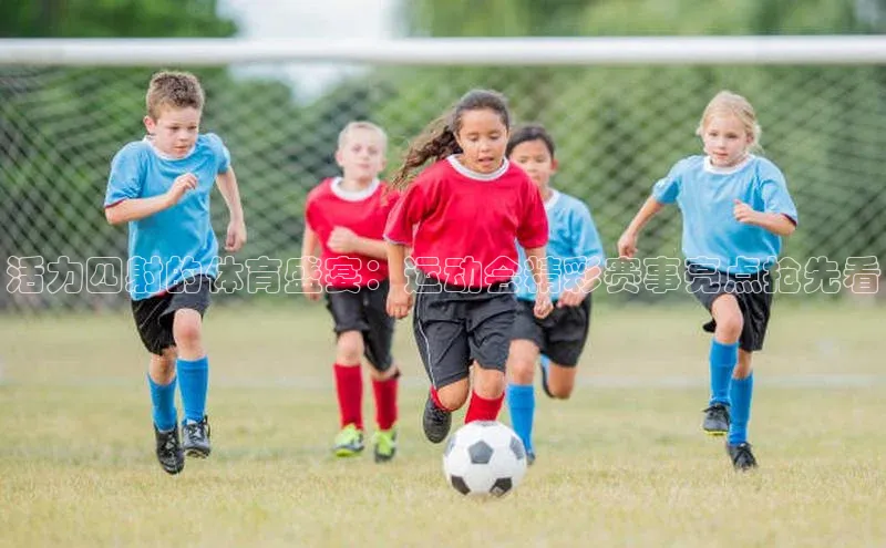 人生搏中国官网入口